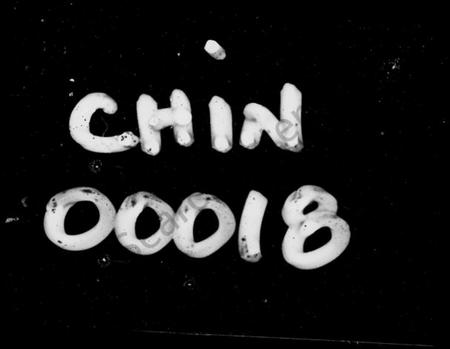 湖南张氏族谱-张氏族谱 [32卷,首3卷].pdf电子版插图4