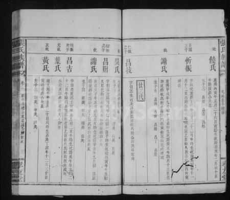 湖南张氏族谱-张氏族谱 [32卷].pdf电子版插图4