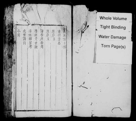 湖南张氏族谱-张氏族谱 [残卷].pdf电子版插图2