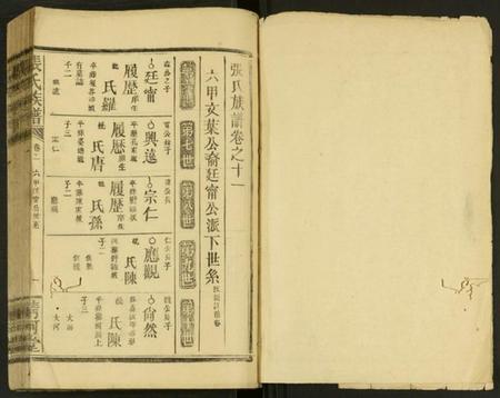 湖南张氏族谱-张氏族谱 [残卷].pdf电子版插图1