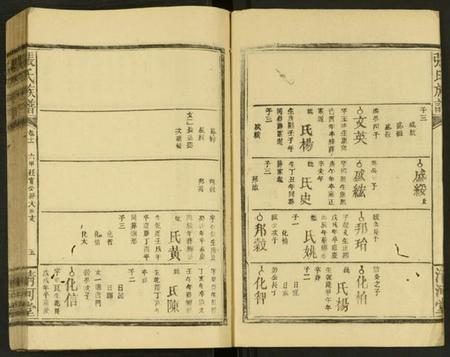 湖南张氏族谱-张氏族谱 [残卷].pdf电子版插图5