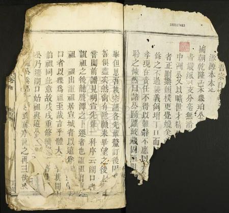 江西梅氏族谱-梅氏宗谱.pdf电子版插图1