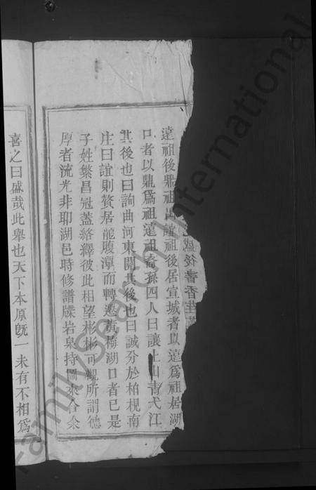 江西梅氏族谱-梅氏宗谱 [残卷].pdf电子版插图4