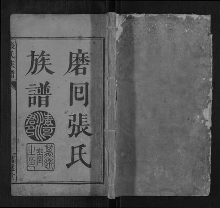 湖南张氏族谱-张氏族谱[不分卷].pdf电子版