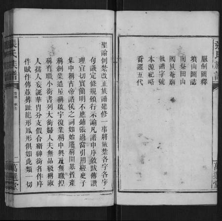 湖南张氏族谱-张氏族谱[不分卷].pdf电子版插图2