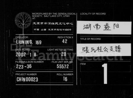 湖南张氏族谱-张氏桂公支谱 [17卷,首末各1卷].pdf电子版