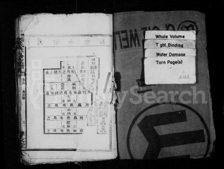 湖南张氏族谱-张氏桂公支谱 [17卷,首末各1卷].pdf电子版插图3
