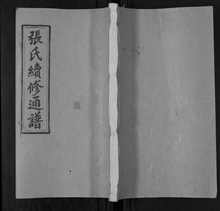 湖南张氏族谱-张氏续修统谱[12卷首末各1卷].pdf电子版
