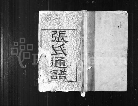 湖南张氏族谱-张氏通谱 [8卷].pdf电子版插图1