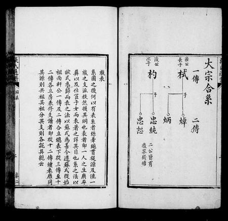 湖南张氏族谱-张氏通谱 [8卷].pdf电子版插图4