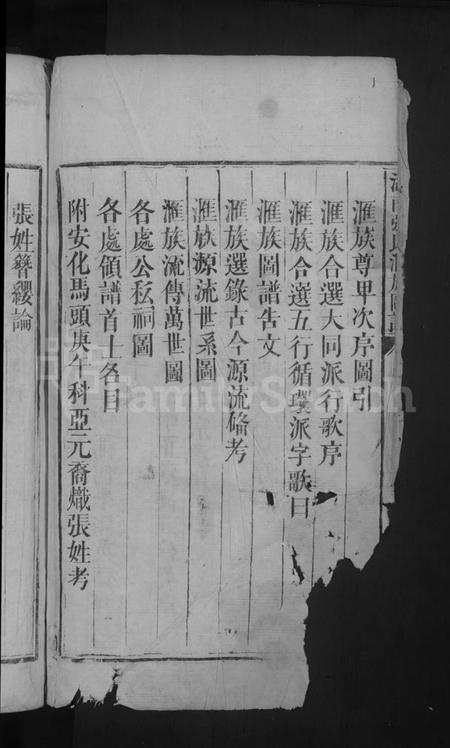 湖南张氏族谱-湖南张氏滙族图谱 [2卷].pdf电子版插图4