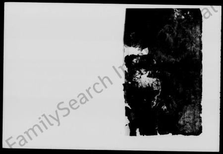 湖南张氏族谱-长沙碧湘张氏家谱 [18卷].pdf电子版插图1