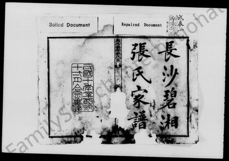 湖南张氏族谱-长沙碧湘张氏家谱 [18卷].pdf电子版插图2