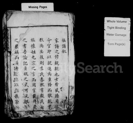 湖南张氏族谱-麦园张氏族谱 [4卷].pdf电子版插图2