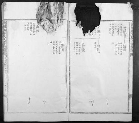 江西欧阳氏族谱-兴国欧阳氏八修族谱[不分卷].pdf电子版插图5