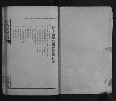 江西欧阳氏族谱-萍东茶垣欧阳族谱[10卷].pdf电子版插图1