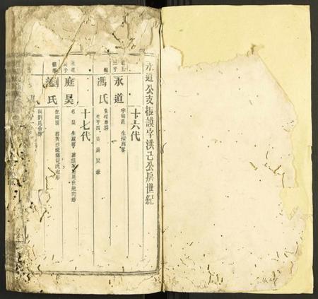 湖南张氏族谱-浏阳张氏族谱 [71卷及卷首末].pdf电子版插图1