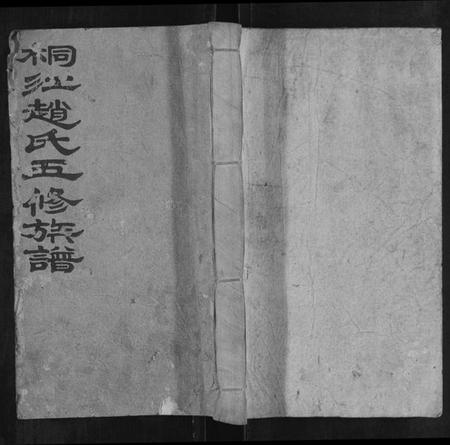 湖南赵氏族谱-桐江赵氏五修族谱[59卷首上下卷].pdf电子版