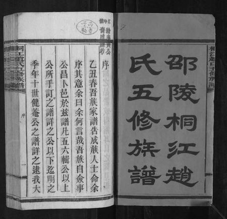 湖南赵氏族谱-桐江赵氏五修族谱[59卷首上下卷].pdf电子版插图2