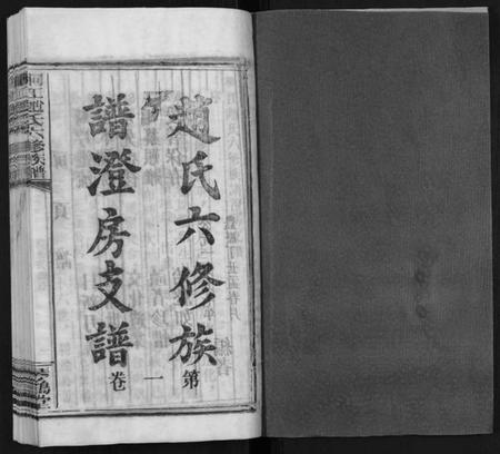 湖南赵氏族谱-桐江赵氏六修族谱[5卷].pdf电子版插图1