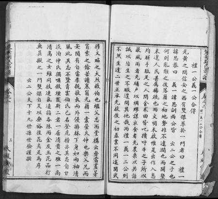 湖北刘氏族谱-楚安刘氏宗谱.pdf电子版插图4