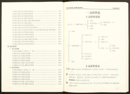 湖南赵氏族谱-赵氏宗谱.pdf电子版插图4