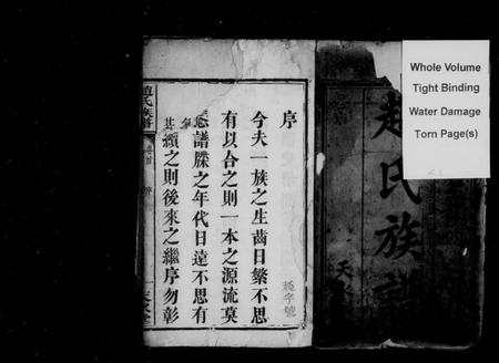 湖南赵氏族谱-赵氏族谱 [22卷,含卷首].pdf电子版插图3