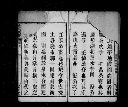 湖南赵氏族谱-赵氏族谱 [22卷,含卷首].pdf电子版插图5