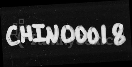 湖南郑氏族谱-郑氏支谱 [6卷].pdf电子版插图1