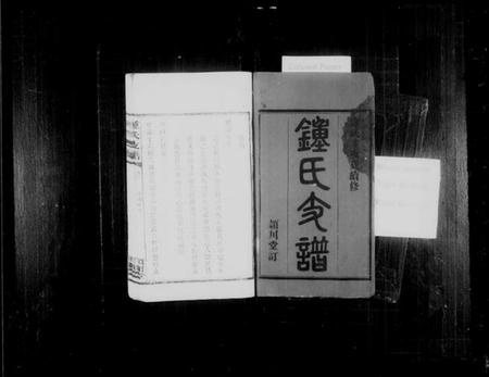 湖南锺氏族谱-锺氏支谱 [4卷].pdf电子版插图2