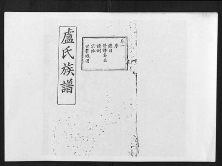 湖北卢氏族谱-卢氏族谱[20卷].pdf电子版