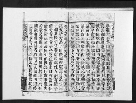 湖北卢氏族谱-卢氏族谱[20卷].pdf电子版插图3