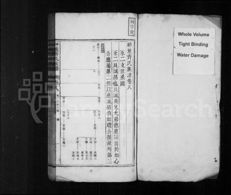 江西齐氏族谱-翀麓齐氏族谱 [卷数不详].pdf电子版插图2