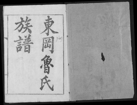 湖北鲁氏族谱-东冈鲁氏族谱.pdf电子版插图1