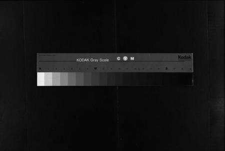 湖南周氏族谱-周氏四修族谱 [12卷].pdf电子版