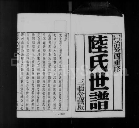 江苏陆氏族谱-陆氏世谱.pdf电子版插图2