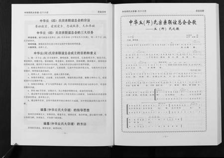 江西丘氏邱氏族谱-中华丘氏大宗谱.江西信丰分谱.pdf电子版插图1