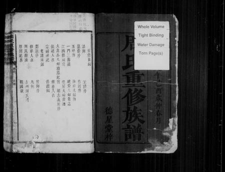 湖南周氏族谱-周氏重修族谱 [6卷,及卷首].pdf电子版插图3