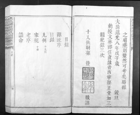 江西邱氏族谱-兴邑榔槎邱氏四修族谱[不分卷].pdf电子版插图5