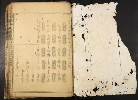 江西邱氏族谱-赣南邱氏族谱.pdf电子版插图1