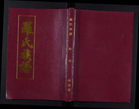 湖北罗氏族谱-罗氏族谱[21卷首1卷].pdf电子版