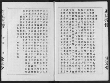 湖北罗氏族谱-罗氏宗谱.pdf电子版插图3