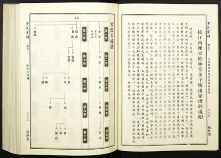 湖北罗氏族谱-罗氏宗谱.pdf电子版插图3