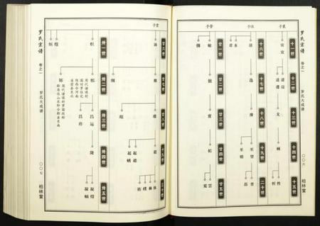 湖北罗氏族谱-罗氏宗谱.pdf电子版插图4