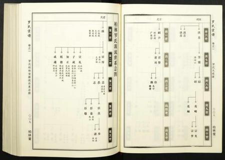 湖北罗氏族谱-罗氏宗谱.pdf电子版插图5