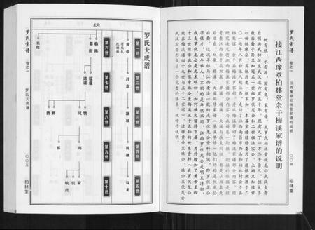 湖北罗氏族谱-罗氏宗谱.pdf电子版插图3