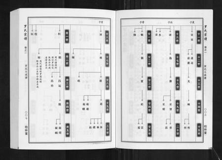 湖北罗氏族谱-罗氏宗谱.pdf电子版插图4
