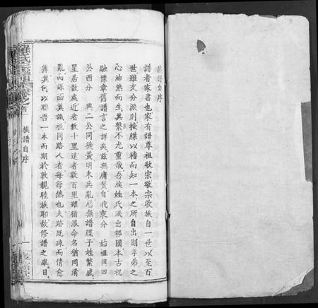 湖北罗氏族谱-罗氏宗谱.pdf电子版插图1