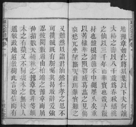 湖北罗氏族谱-罗氏宗谱 [12卷].pdf电子版插图2