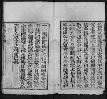 湖北罗氏族谱-罗氏宗谱 [15卷,含首1卷].pdf电子版插图4